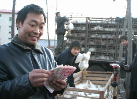 養(yǎng)雞場(chǎng)如何確定適合自己的生產(chǎn)工藝？