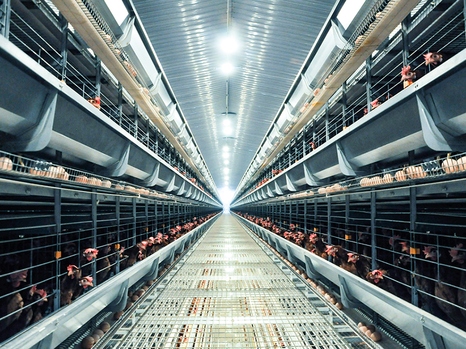 廠(chǎng)房設(shè)備